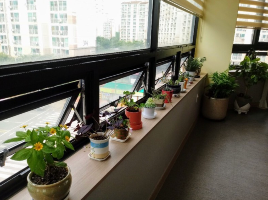 31396258_GMXcUtE4_e092fcd02382d2742a3646d7772aed315cb8f68e.png 이미지크게보기