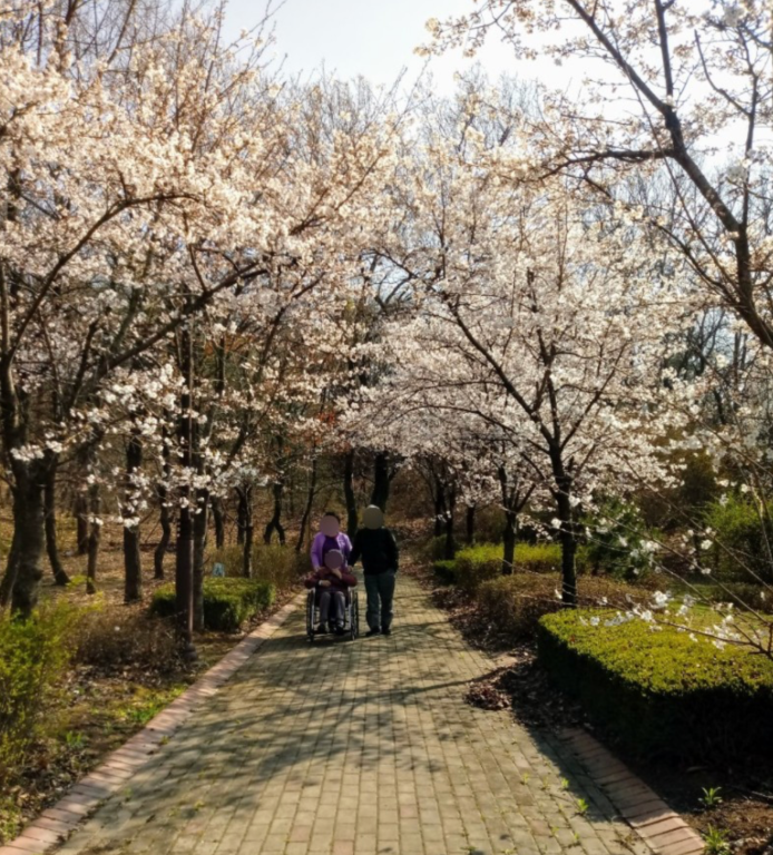 31396258_h0fzqEg3_be98c896985eea460190ca18d2fa0feafd2e3839.png 이미지크게보기